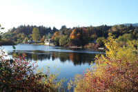 Cowichan River from Saywell Park